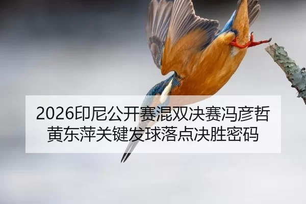 yin-ni-gong-kai-sai-hun-shuang-jue-sai-feng-yan-zhe-huang-dong-ping-guan-jian-fa-qiu-luo-dian-jue-sheng-mi-ma-2-557.jpg